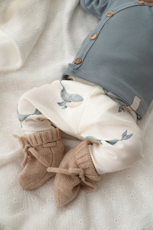 Broekje Walvissen (rib)