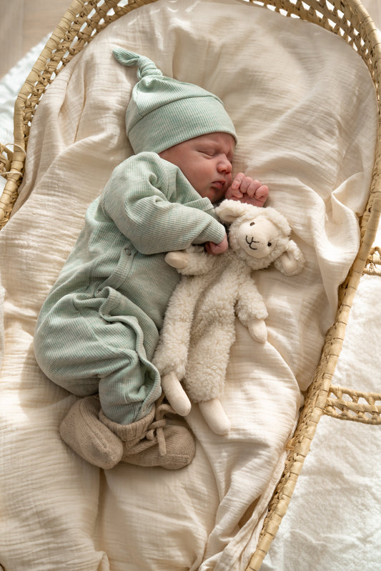 Boxpakje Lichtgroen melange (rib)