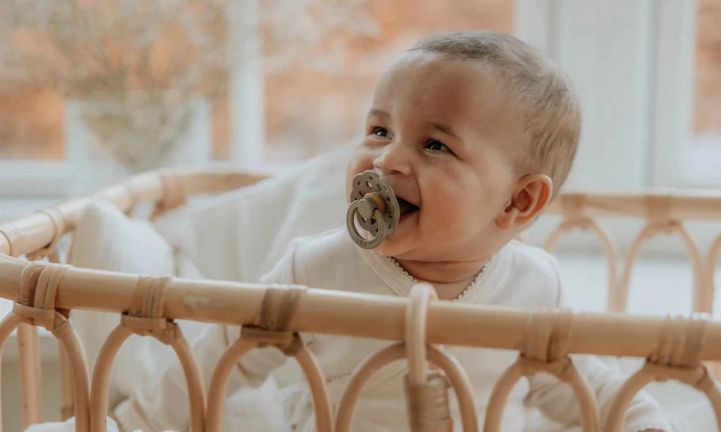 Fopspeen BIBS Boheme Ivory/Blossom (2-pak)