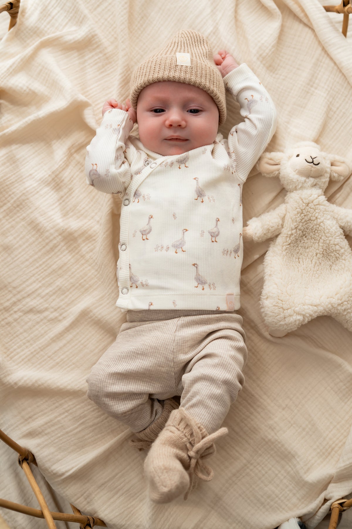 Prematuur broekje Beige melange (rib)