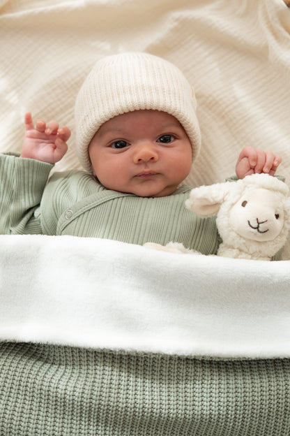 Wiegdeken Zachtgroen gebreid (Teddy)